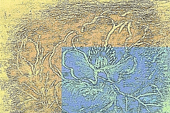 img20230927143817803239.jpg