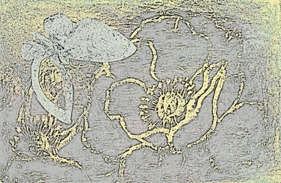 img20230927144609597825.jpg