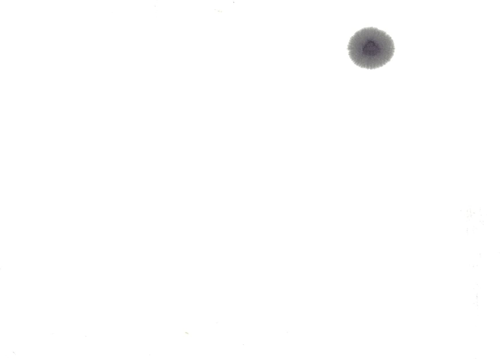 img20201108185336791658.jpg
