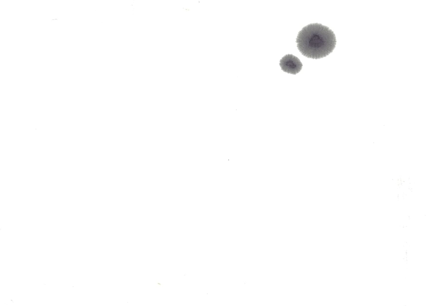 img20201108185519059410.jpg