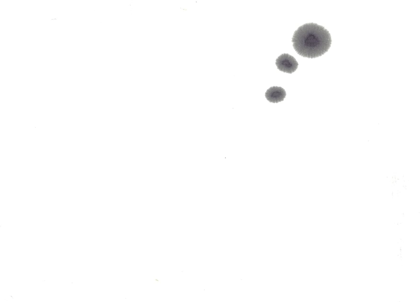 img20201108185608293332.jpg
