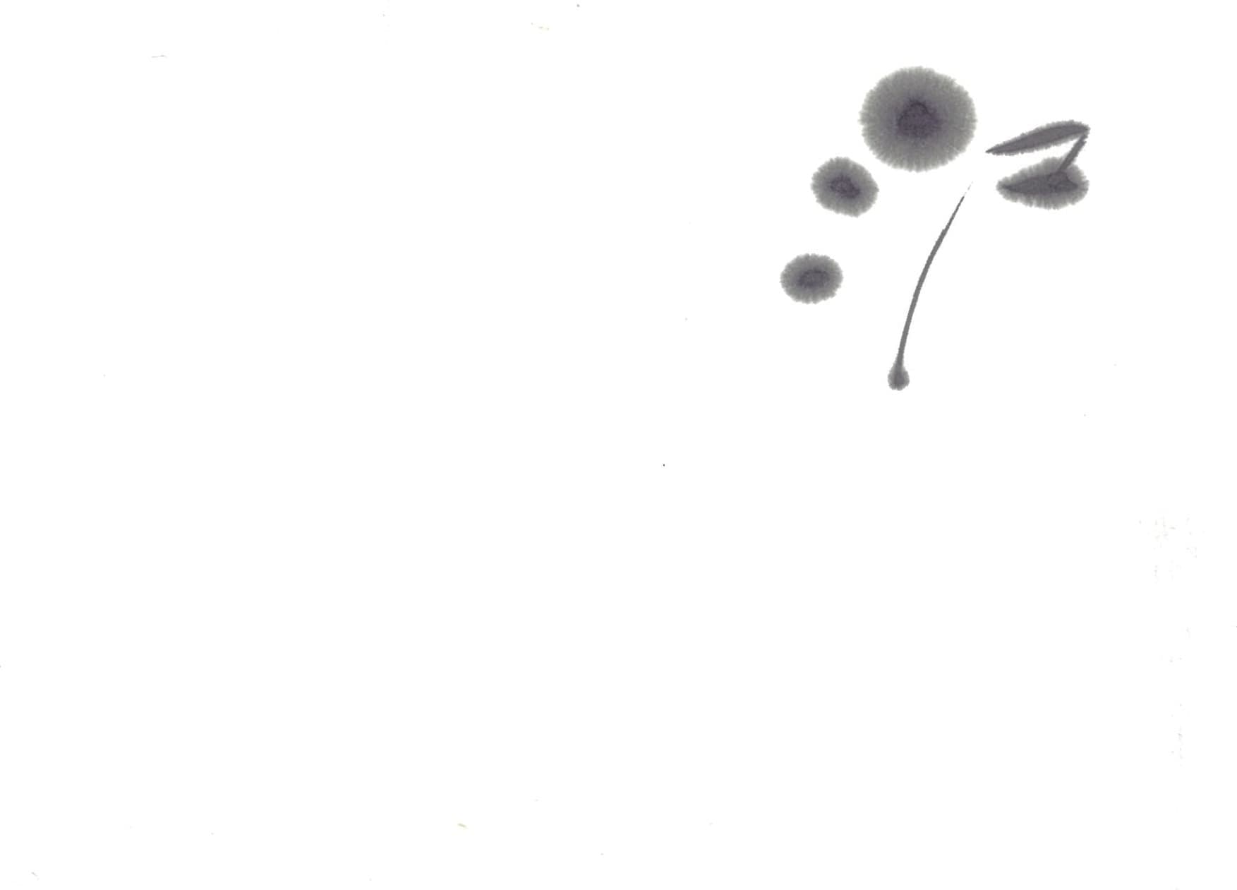 img20201108185631772261.jpg