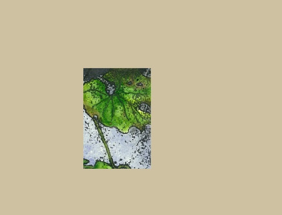 img20201115123518222193.jpg