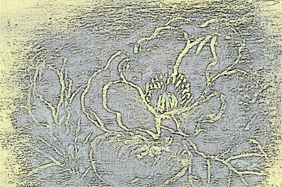 img20230927143623739311.jpg