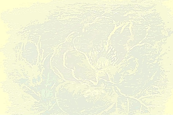 img20230927143526910936.jpg