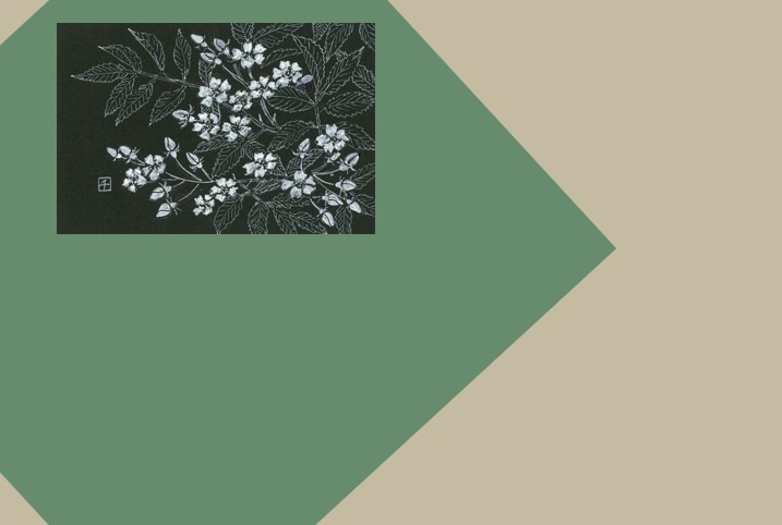 img20210829133407959697.jpg