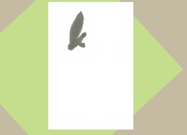 img20210906183536711507.jpg