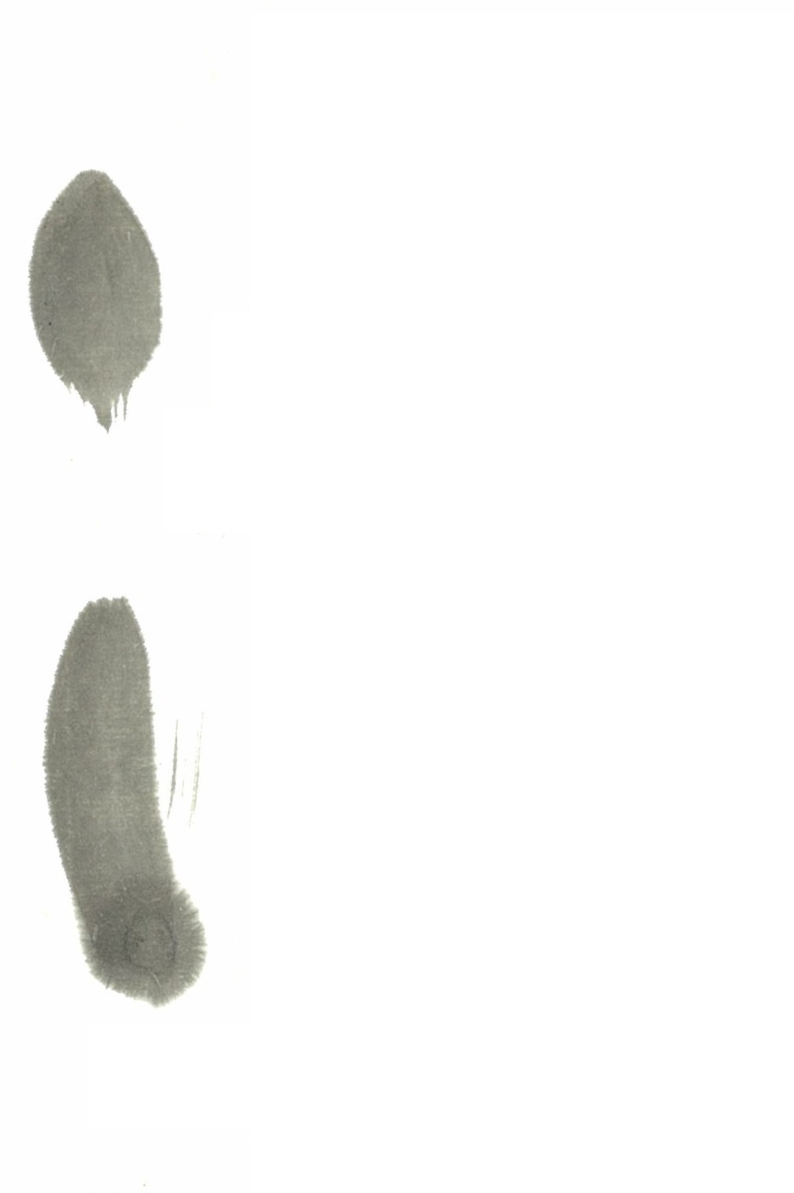 img20230118111453443397.jpg