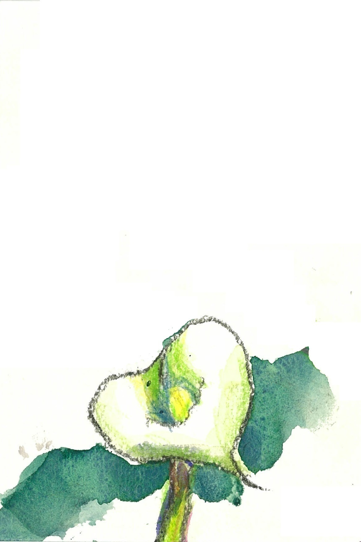 img20230719113505104915.jpg