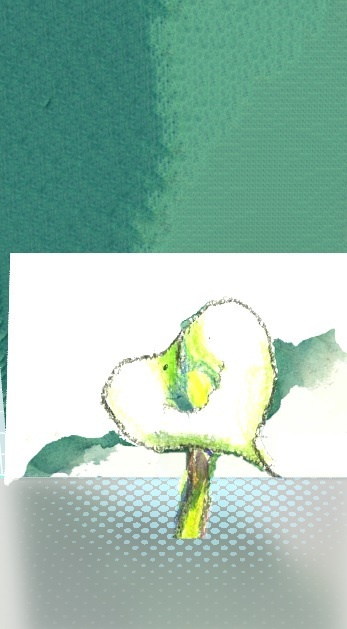 img20230719113626716582.jpg