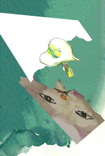 img20230719115340502199.jpg