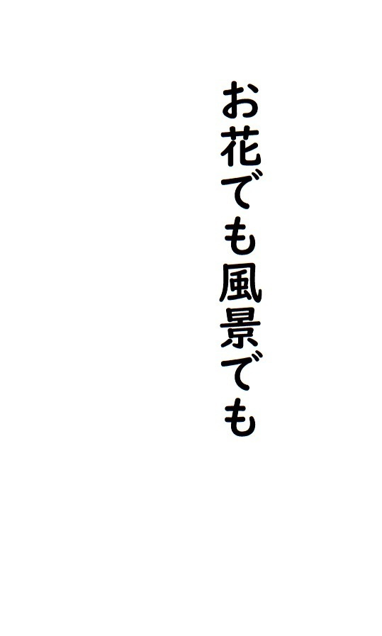 img20230723054344616164.jpg