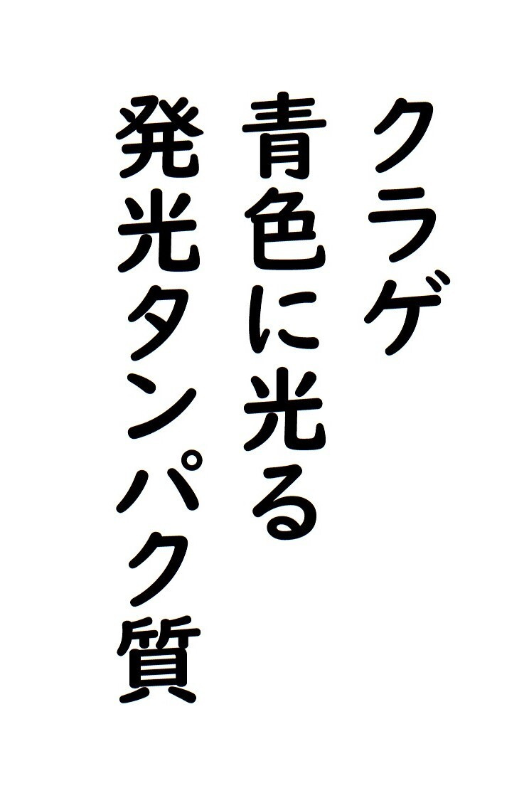 img20230904225038553965.jpg