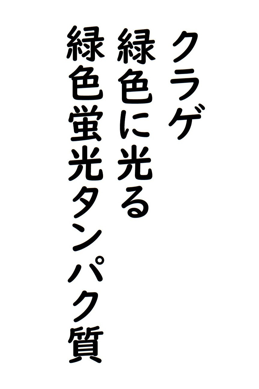 img20230904232743268293.jpg