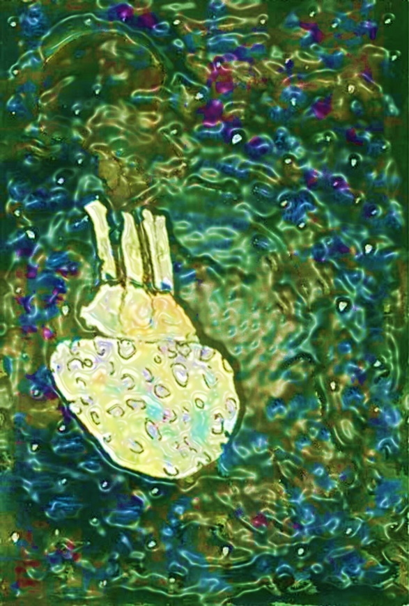 img20230904232440570168.jpg