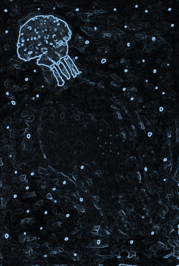 img20230904233201021251.jpg