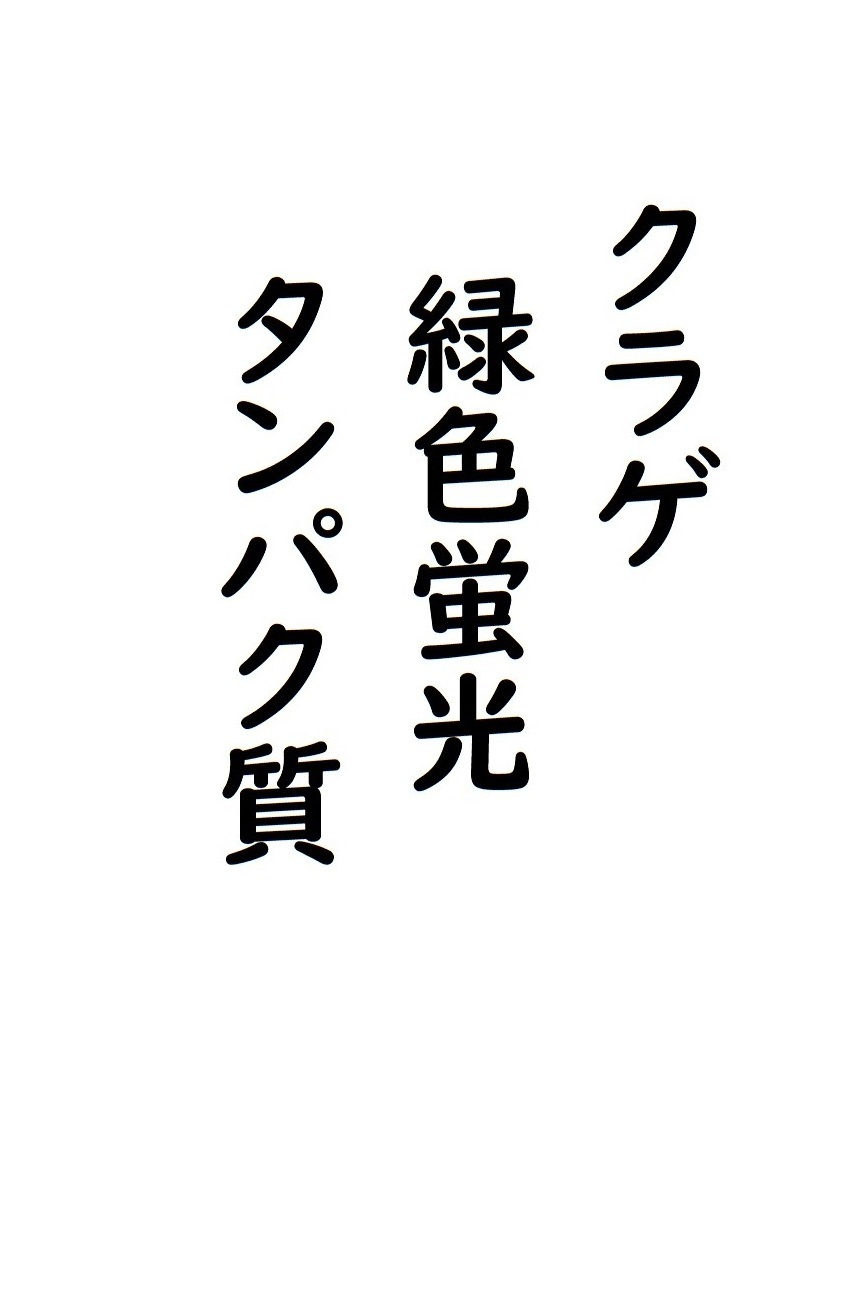 img20230904232644630374.jpg