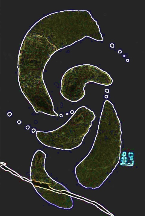 img20230907055514461734.jpg