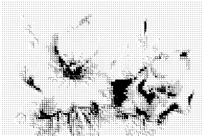 img20230914225721457094.jpg