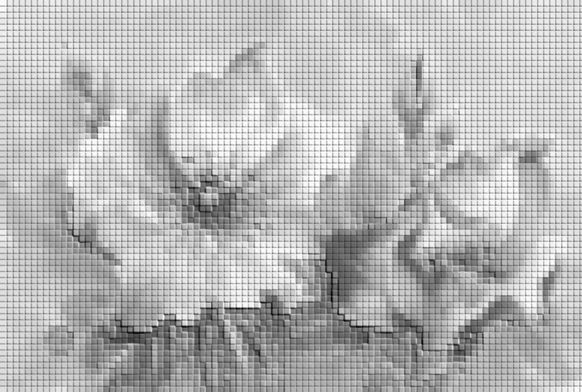 img20230914225842400011.jpg