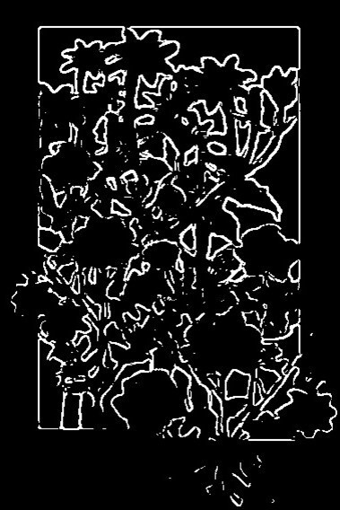 img20230916044935861285.jpg
