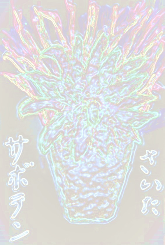 img20230916051940515874.jpg