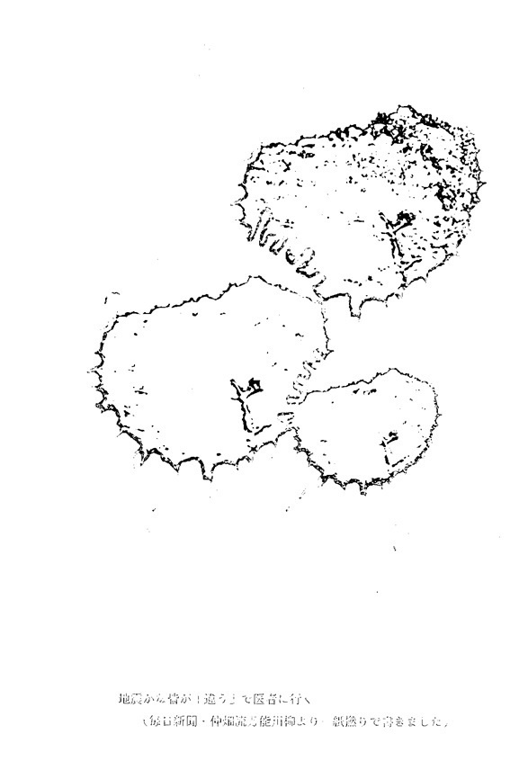 2-6_20230927123330683.jpg