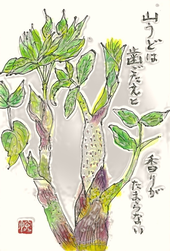 img20230916034736227567.jpg
