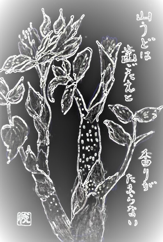 img20230916034840840789.jpg