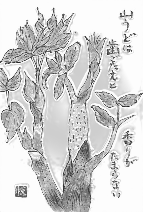 img20230916034816688553.jpg
