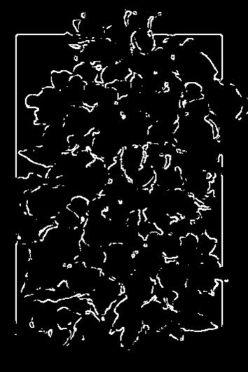 img20230916035449098581.jpg