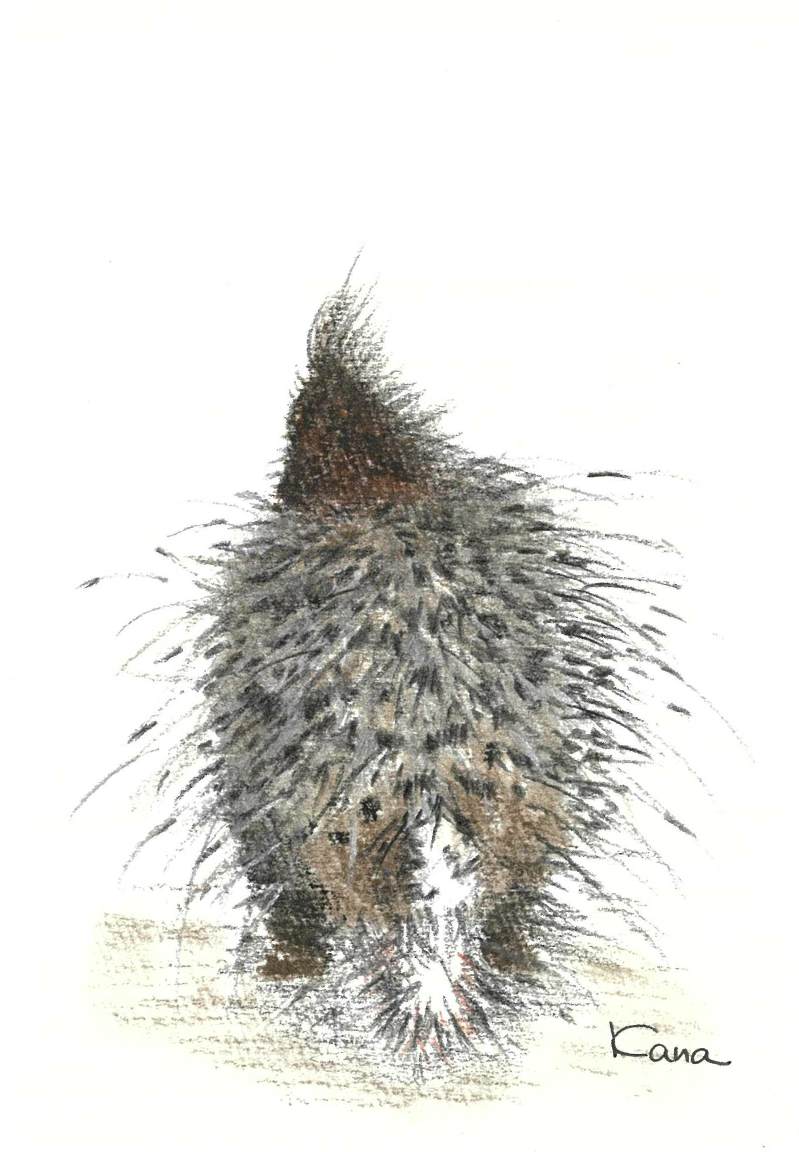img20240803081709884729.png