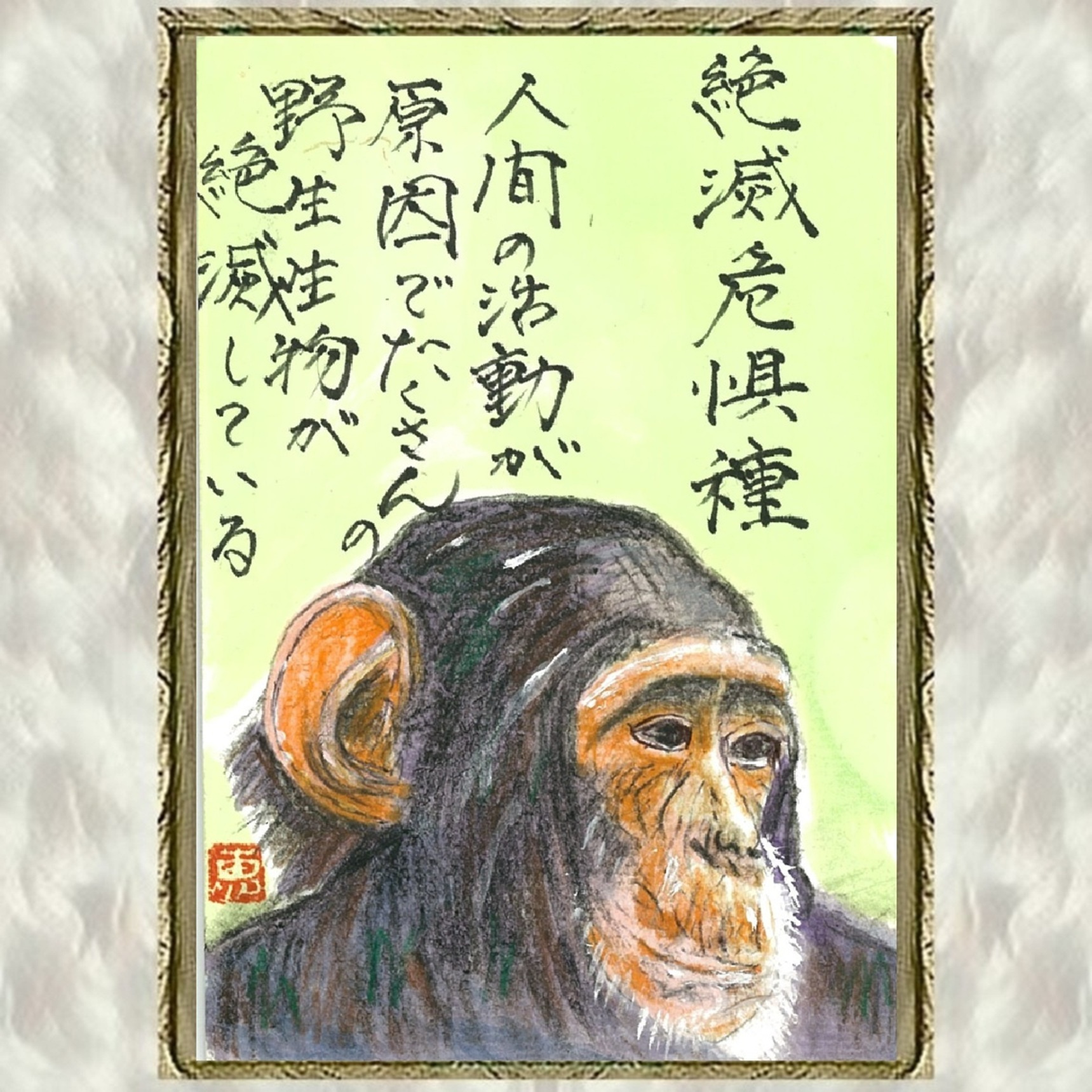img20260912232021450153.jpg